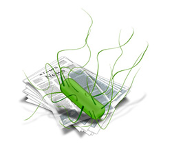 laboratoire BioRisk - analyse microbiologique