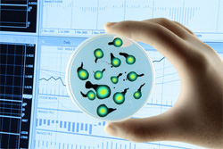 laboratoire BioRisk - analyse microbiologique